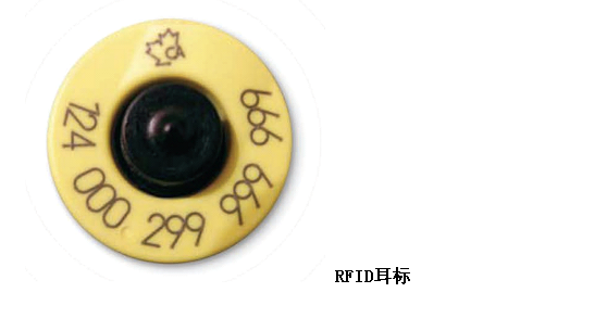 牛耳标2.png